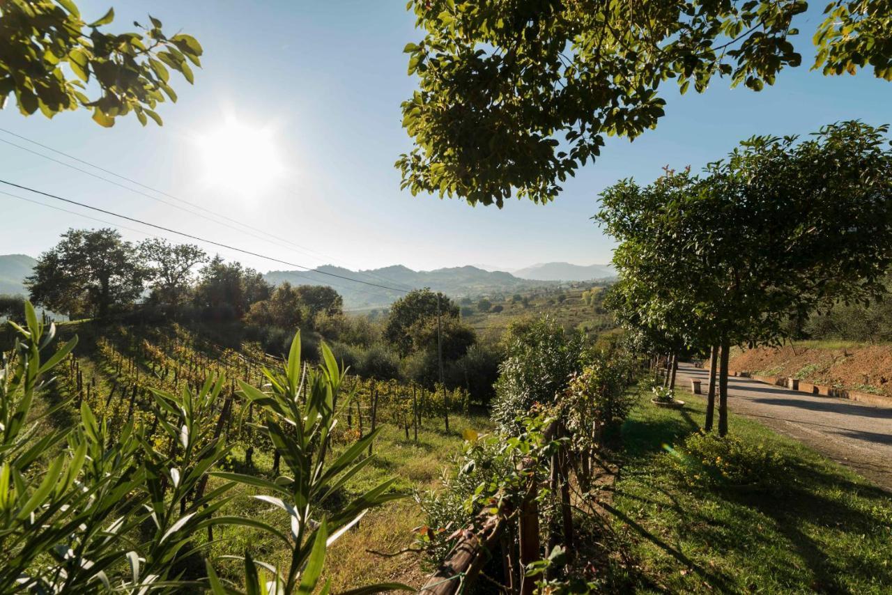 Tenuta D'Amore Hotel San Mango Piemonte Exterior photo